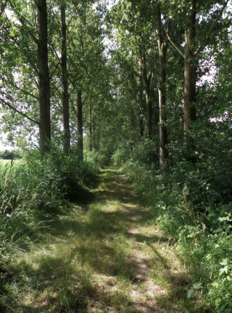 Lochem, Berkel (2018)